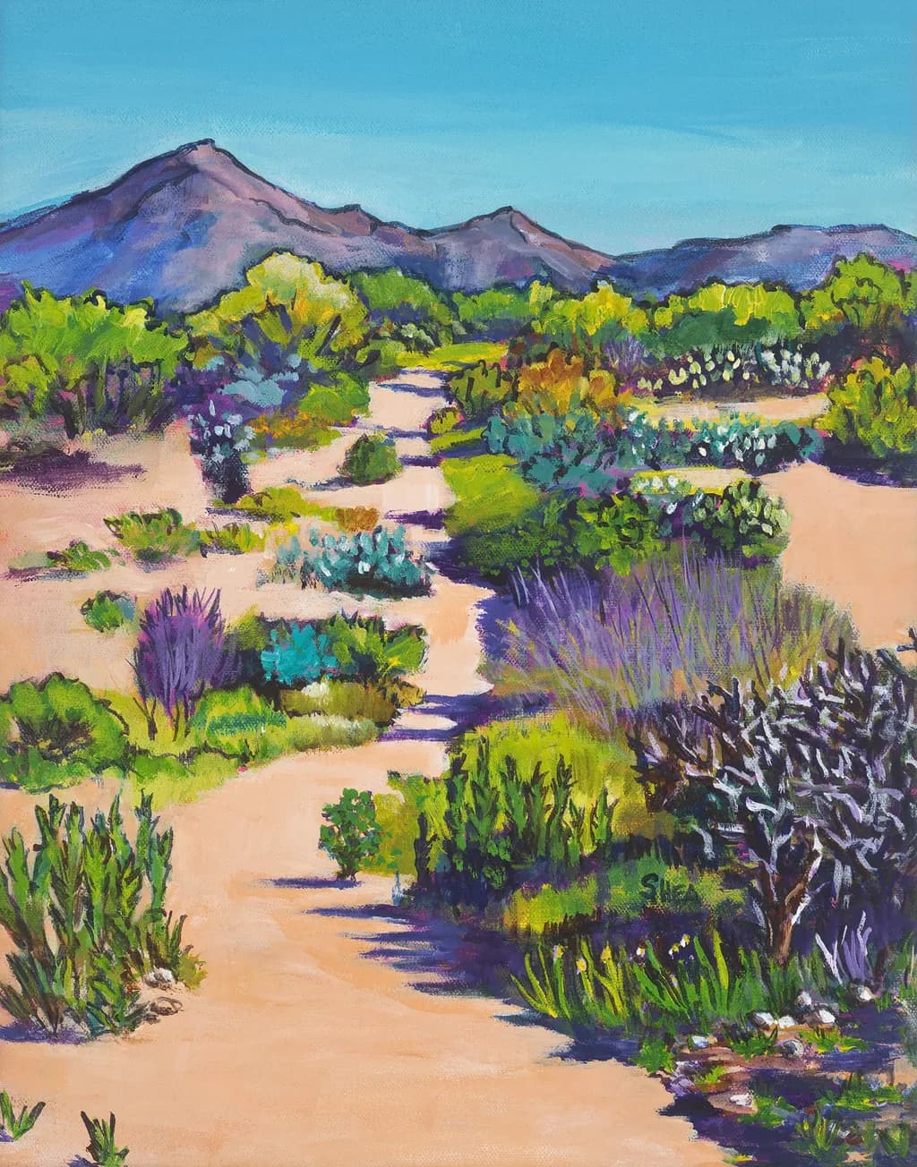 Desert Pathway