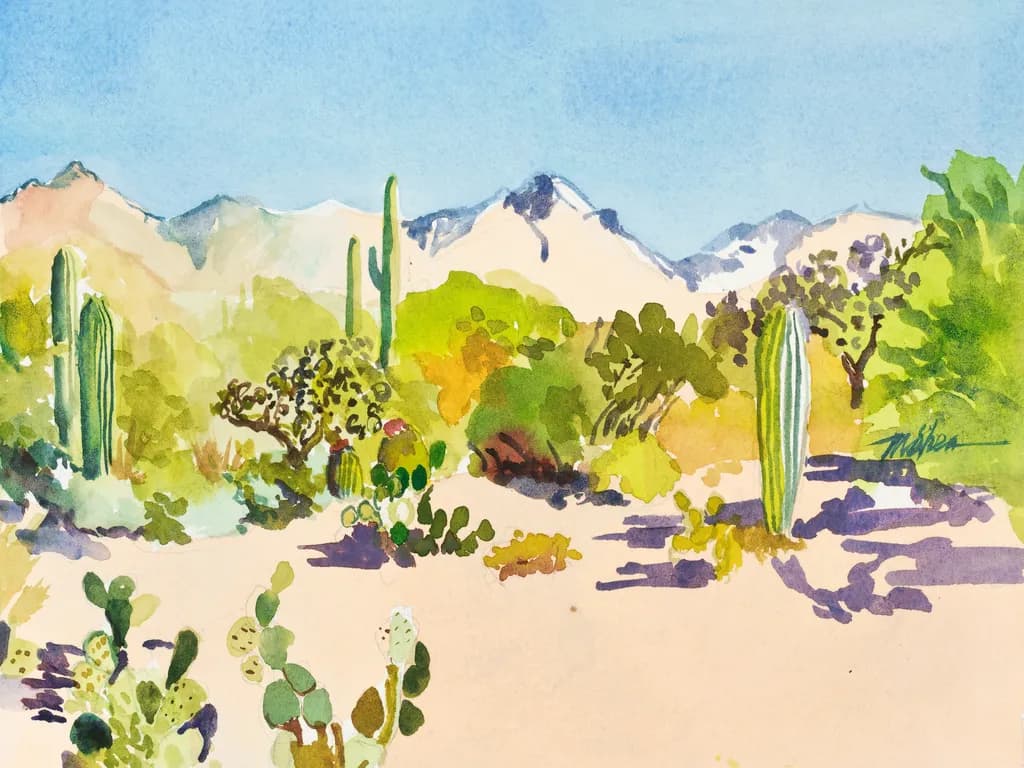 Sabino Morning Light