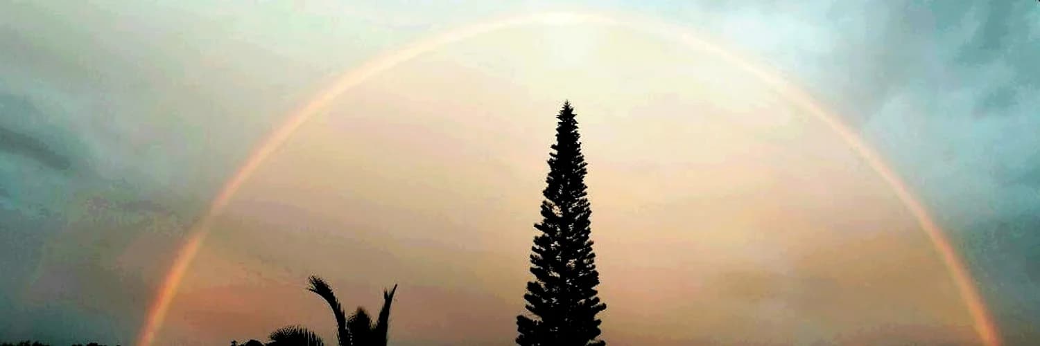 Banner do perfil