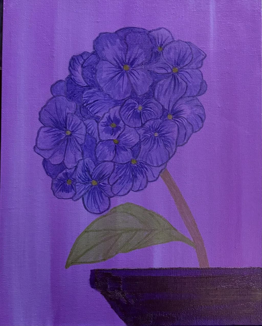 Purple Hydrangea Bloom