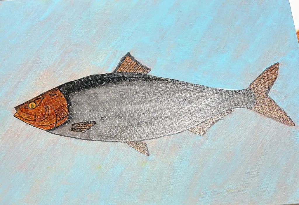 Copperhead Fish