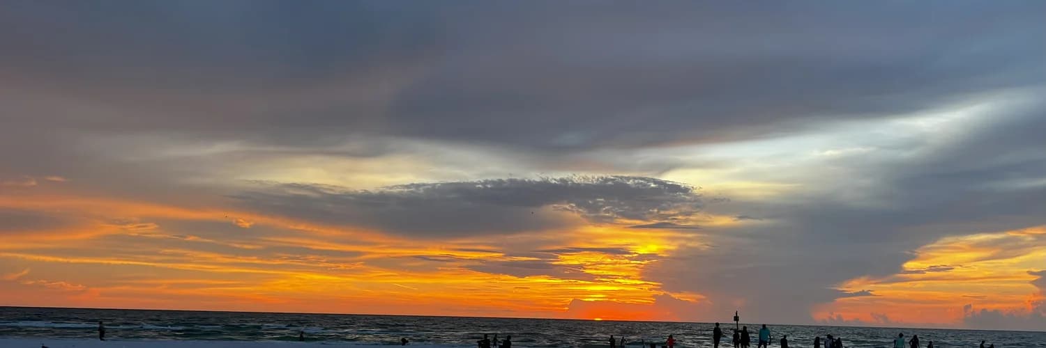 Profile banner