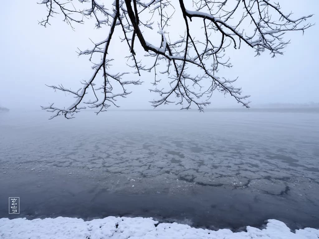 Winter Edge Frozen Calligraphy