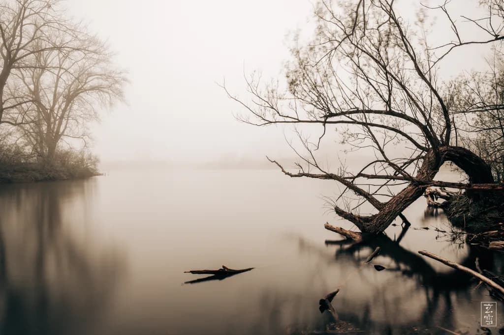 Yugen Pond