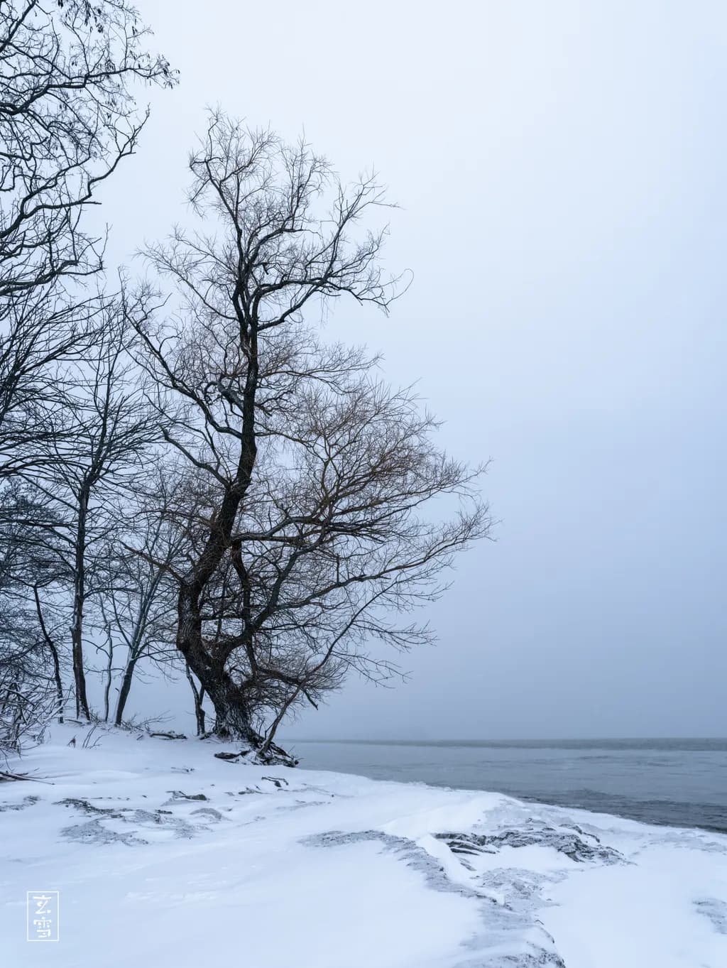 Winters Edge