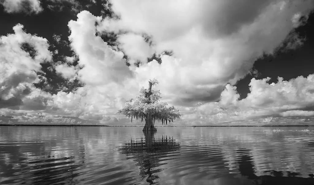 Reflections in Monochrome