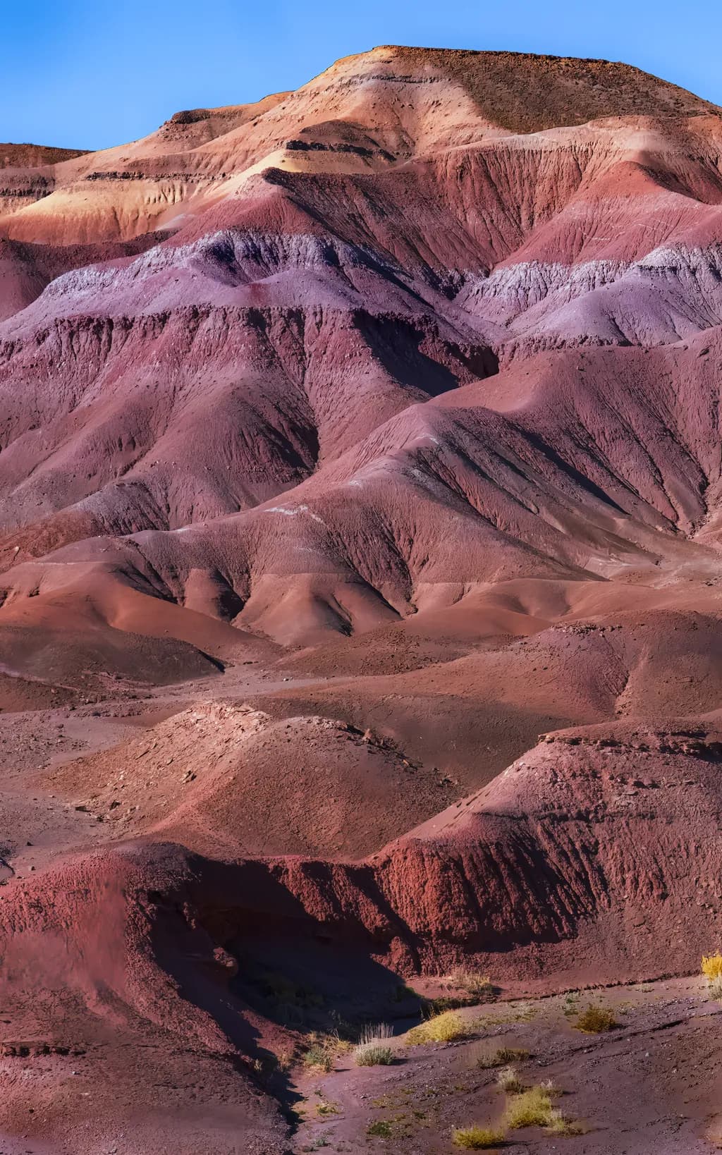 Painted Hillscape