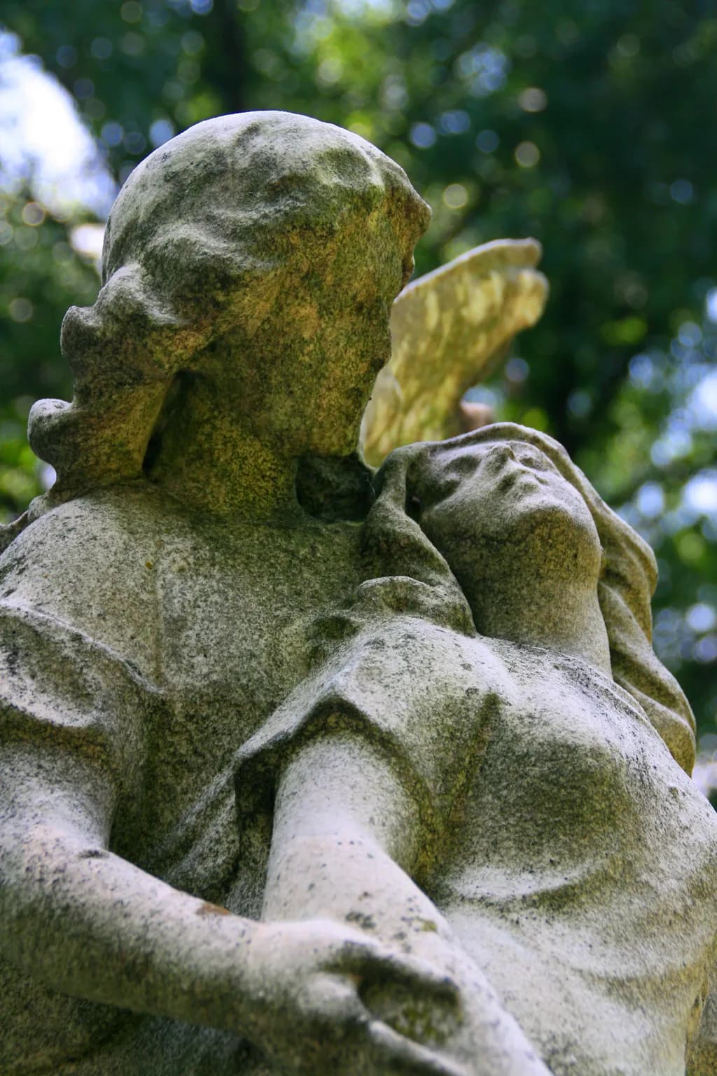 Eternal Embrace: A Stone Angel's Tender Gaze