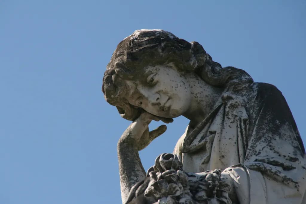 Contemplative, Metarie