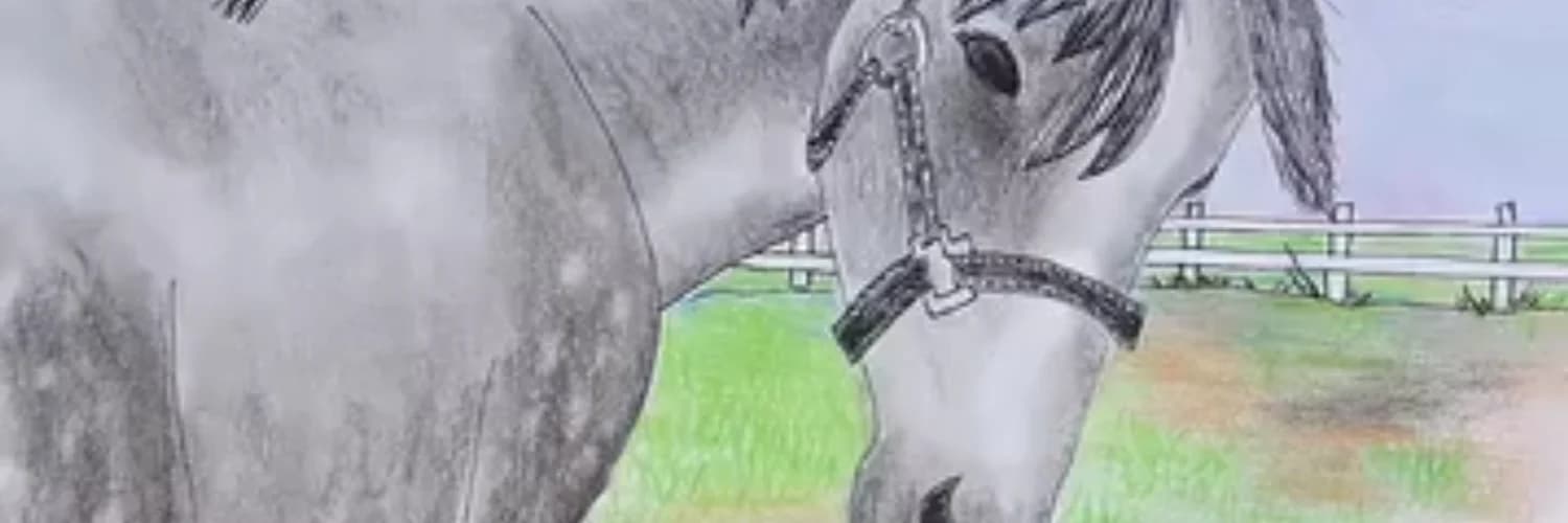 Banner del perfil