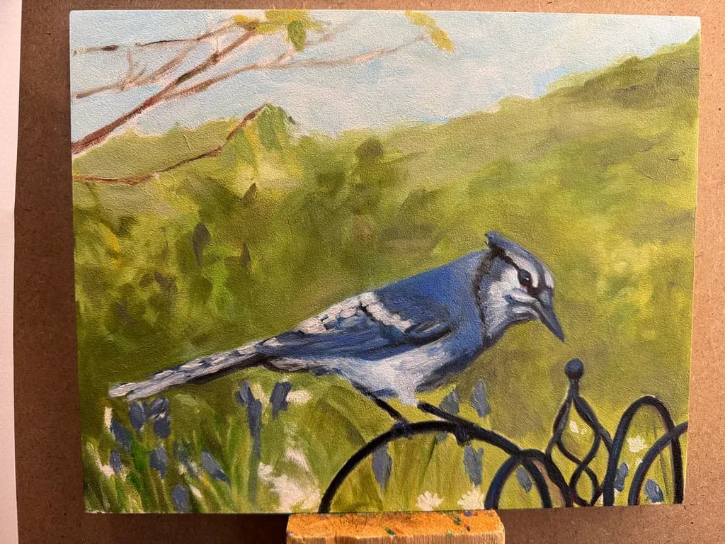 Blue Jay Perch
