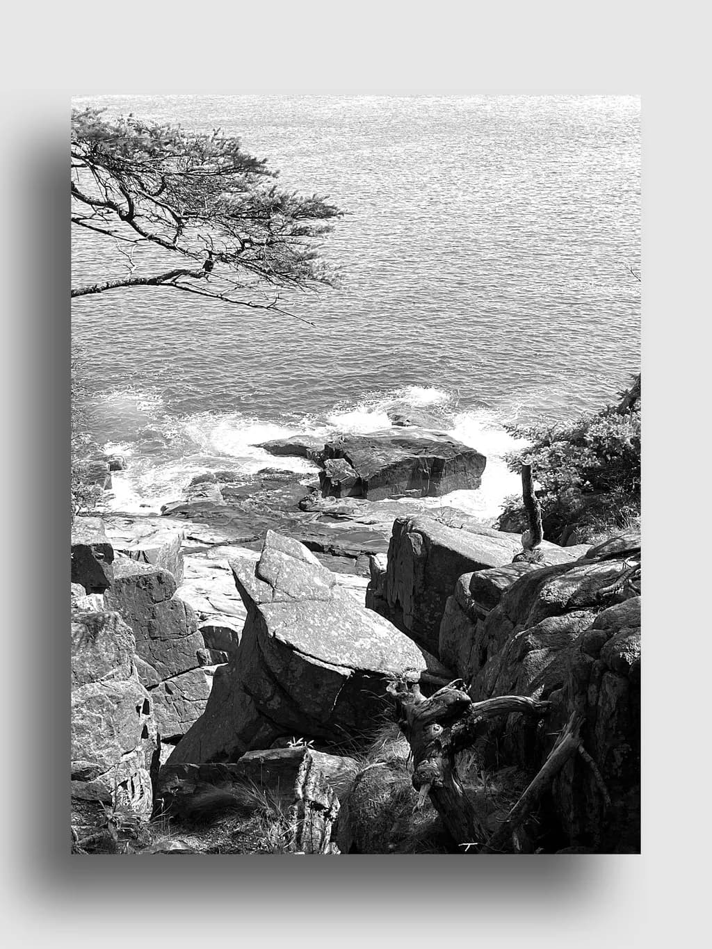 Rocky Shoreline