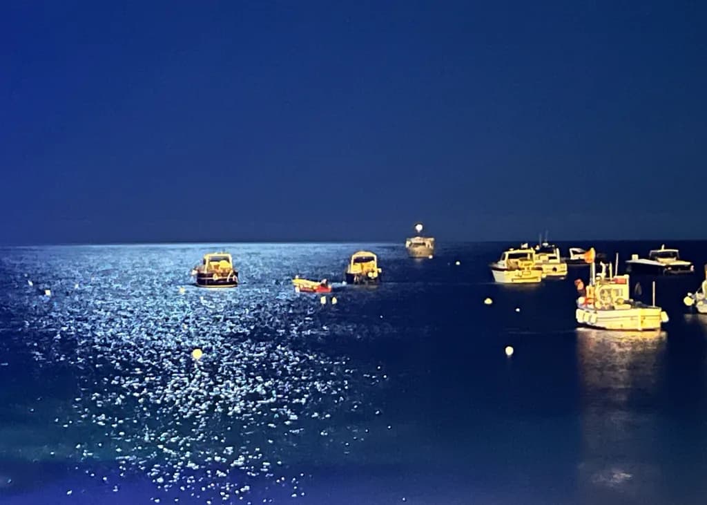 Moonlit Harbor Boats