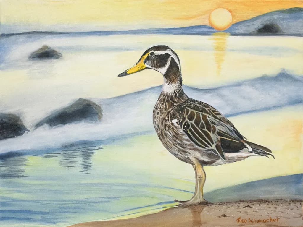 Duck at Dusk