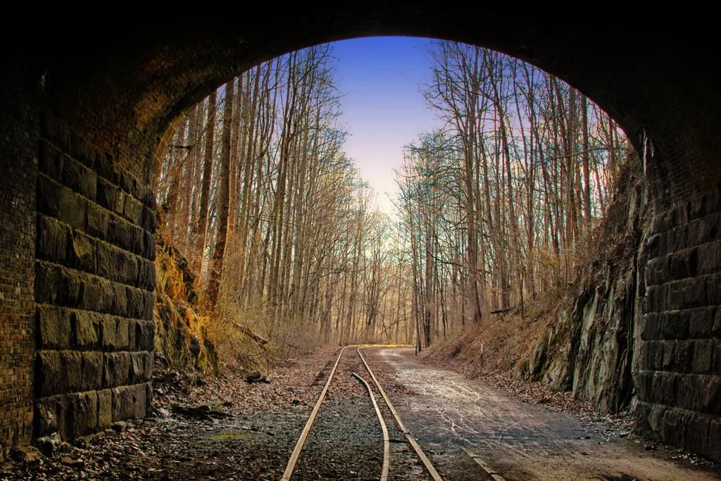Tunnel Vision