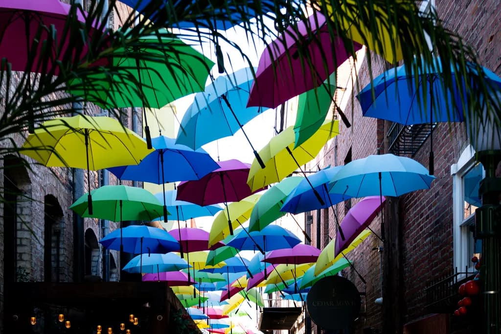 Umbrella Canopy