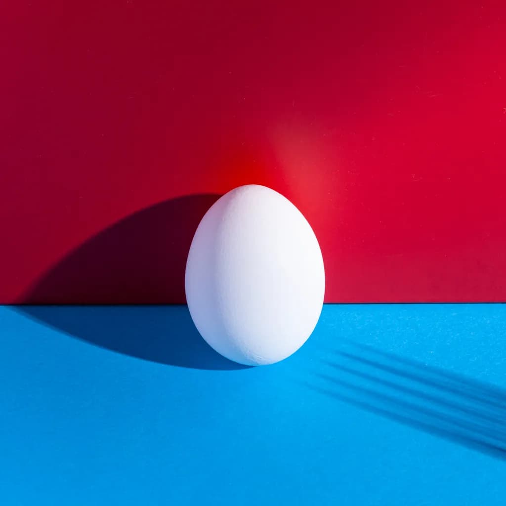 Food Art Egg