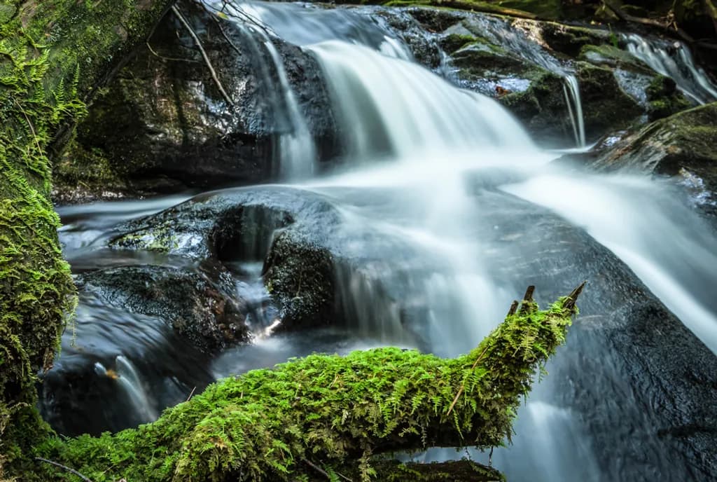 Mossfall Cascade