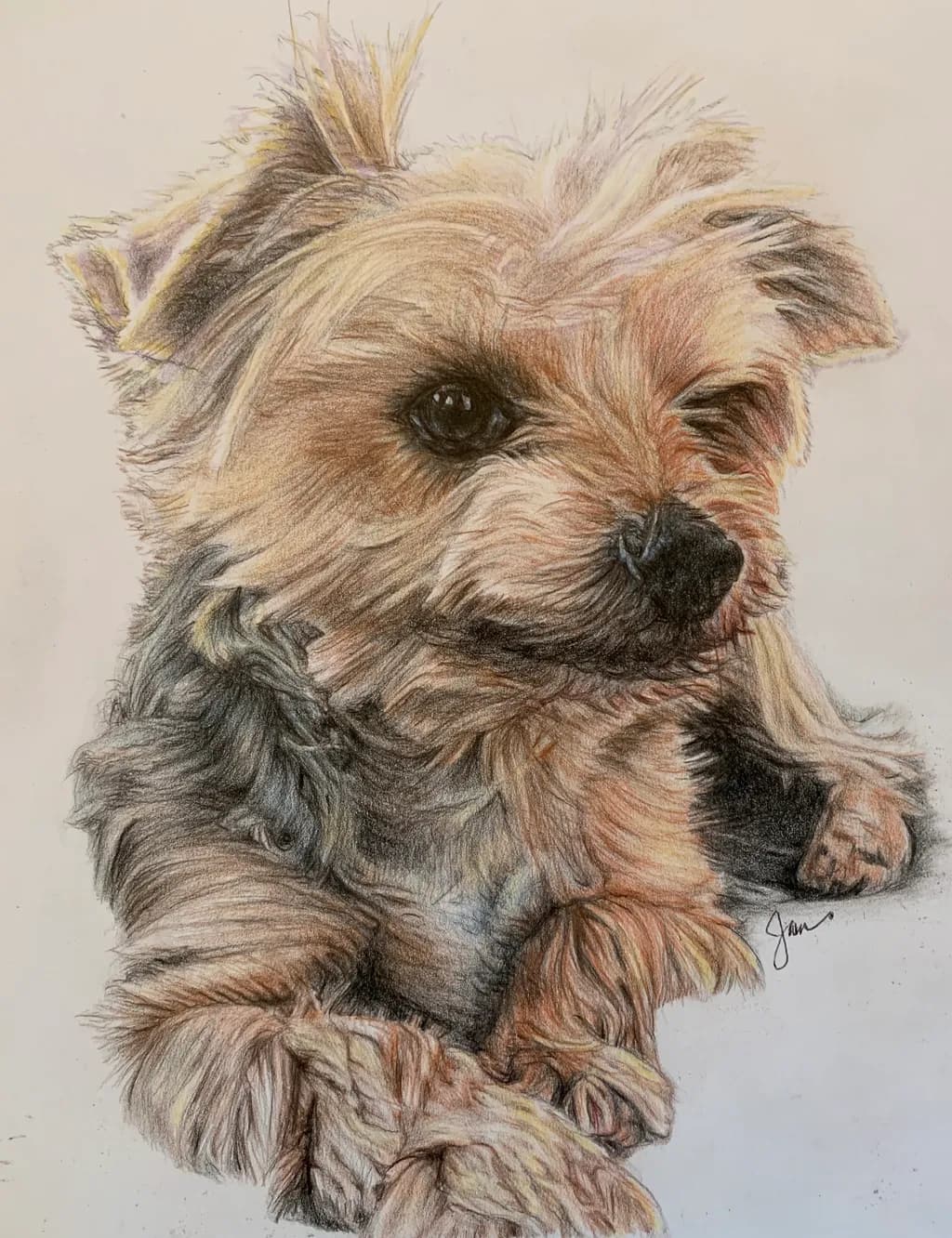 Whiskers and Wiggles: A Heartfelt Portrait of Your Furry Best Friend