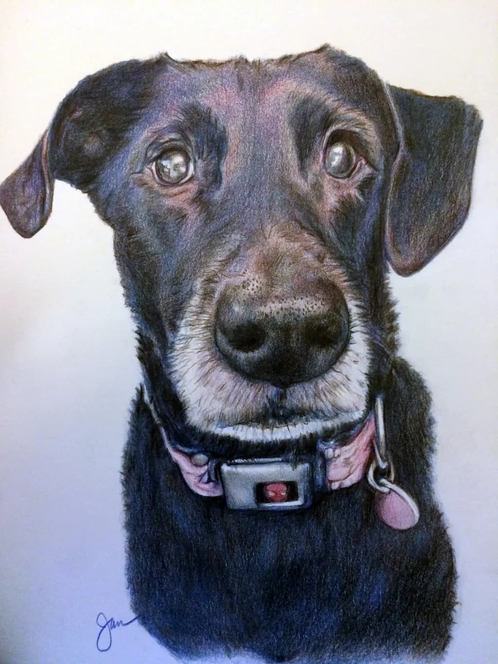 Whiskers and Wags: A Heartfelt Portrait of a Loyal Companion
