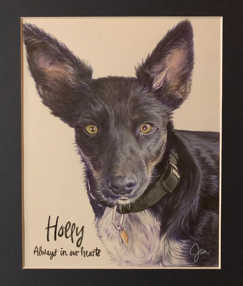 Holly: A Heartfelt Tribute to Our Furry Friend