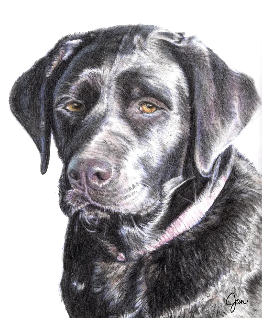Charming Canine: A Heartfelt Portrait of a Loyal Companion