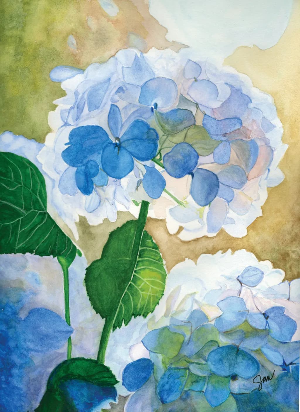 Whispers of Blue: A Hydrangea's Gentle Embrace