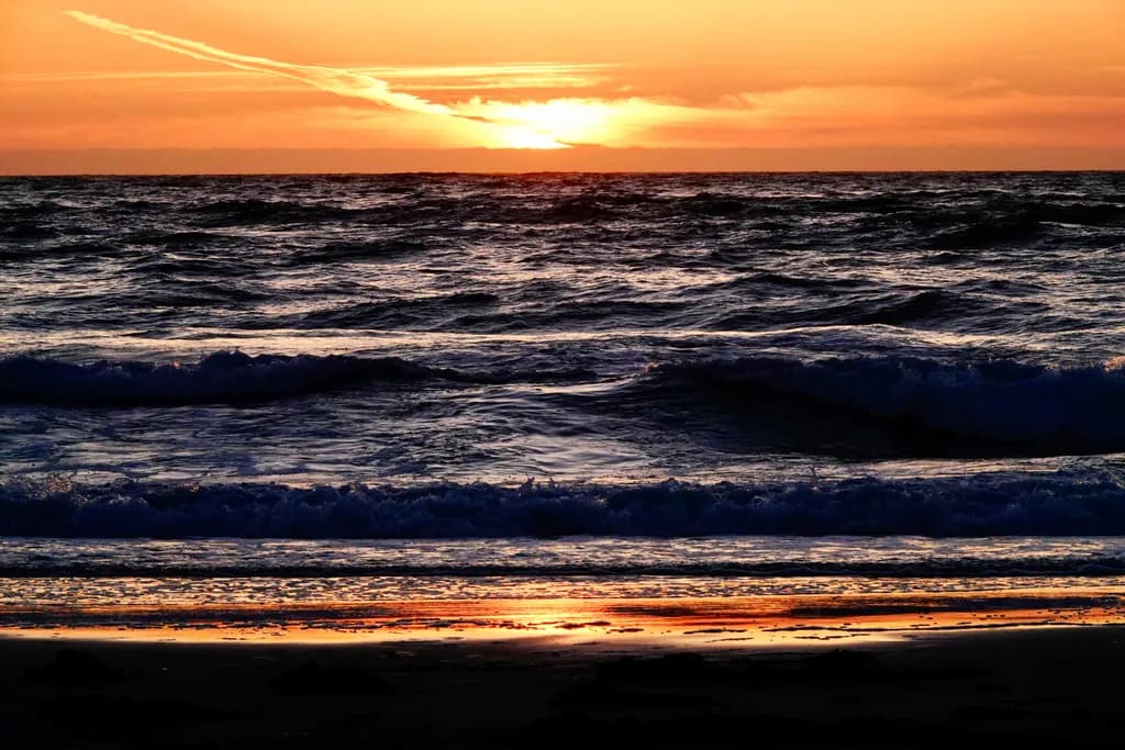 Beach Sunset