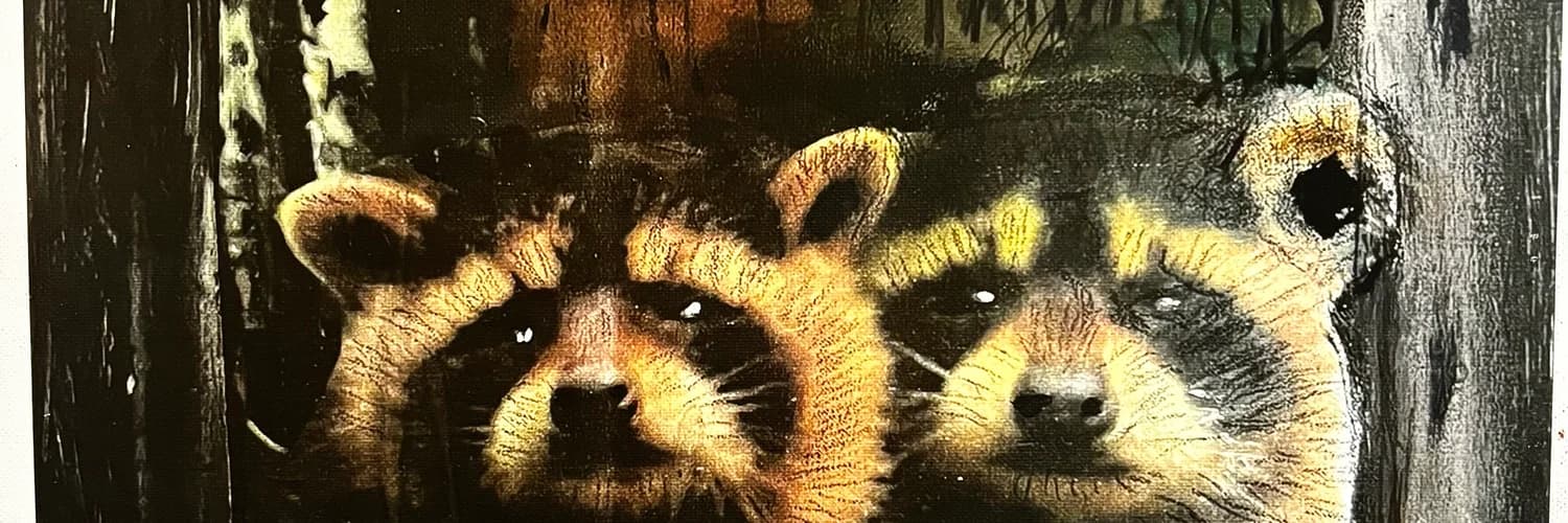 Banner del perfil