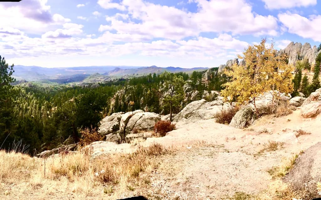 Black Hills Vista