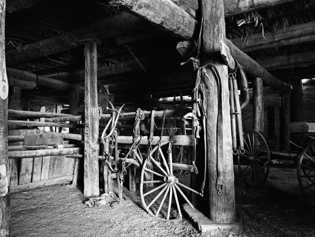 Barn Shadows
