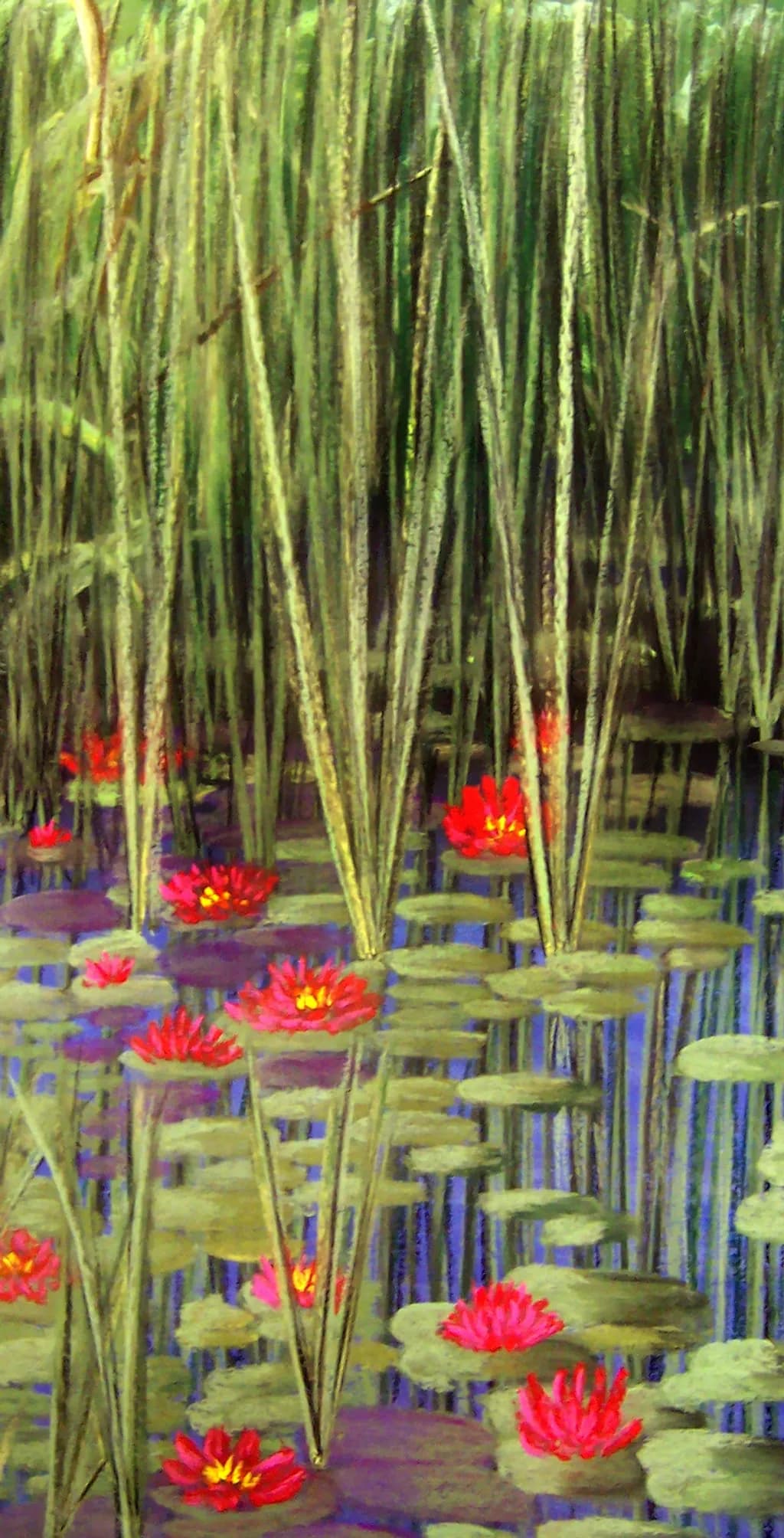 Water Lilies Among the Reeds