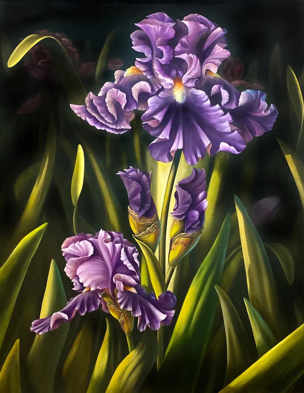 Iris in Moonlight