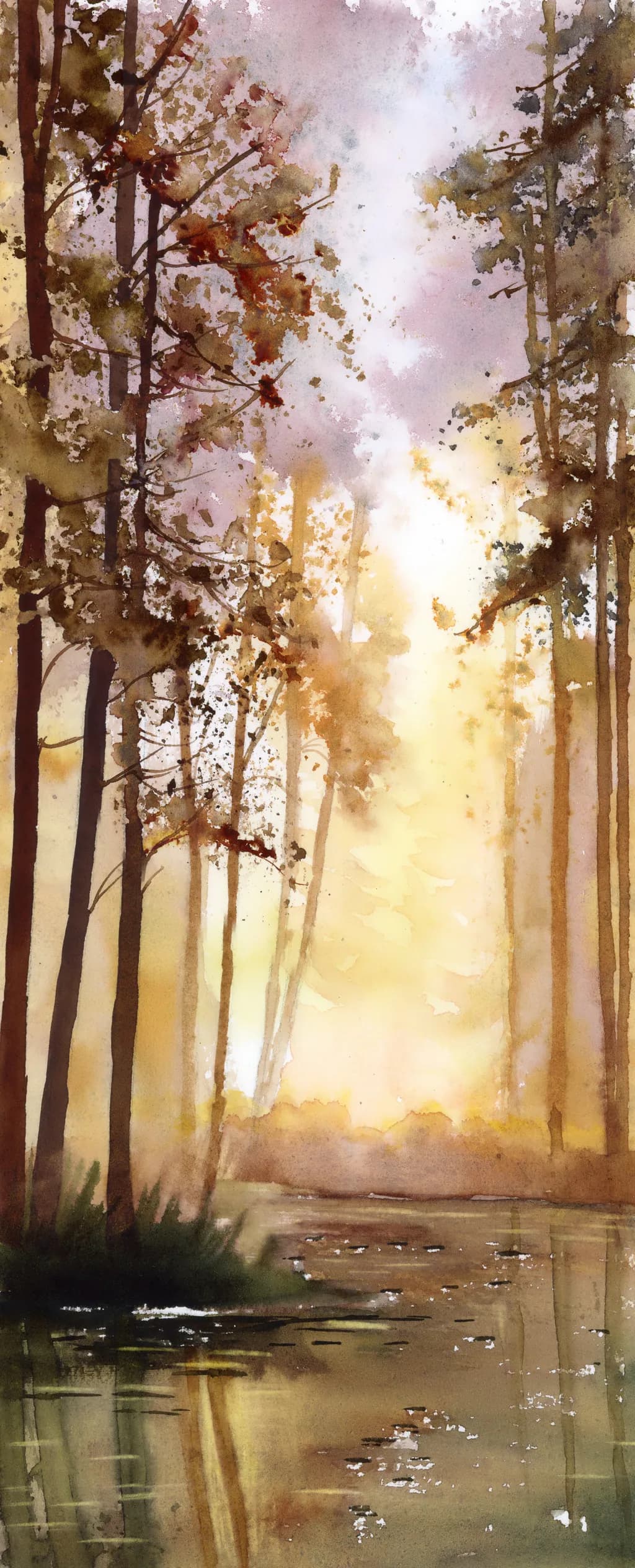 Lightrush Forest Stream