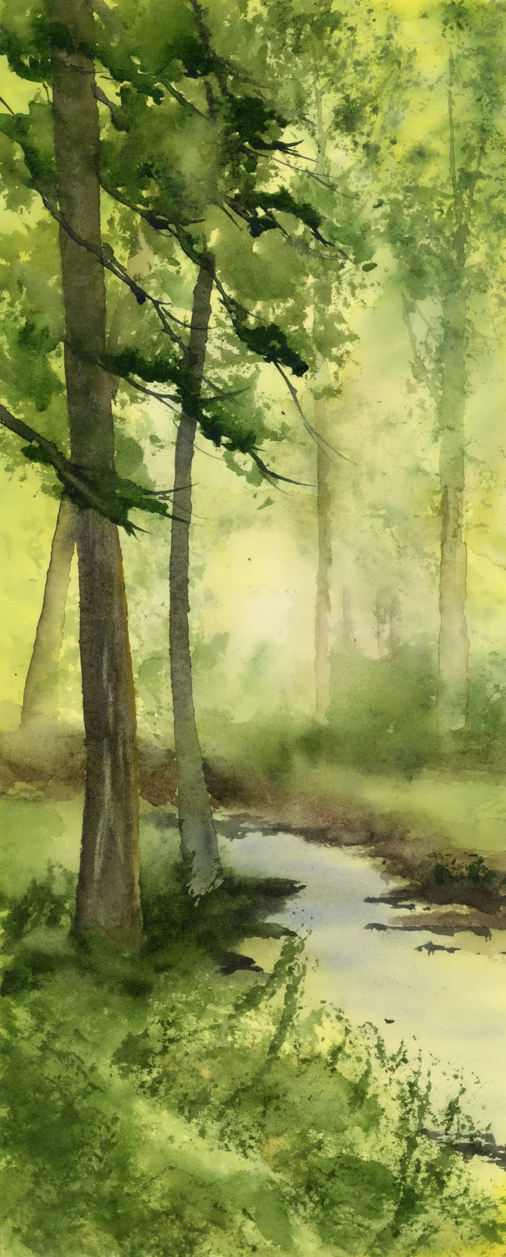 Moss Stream Refuge