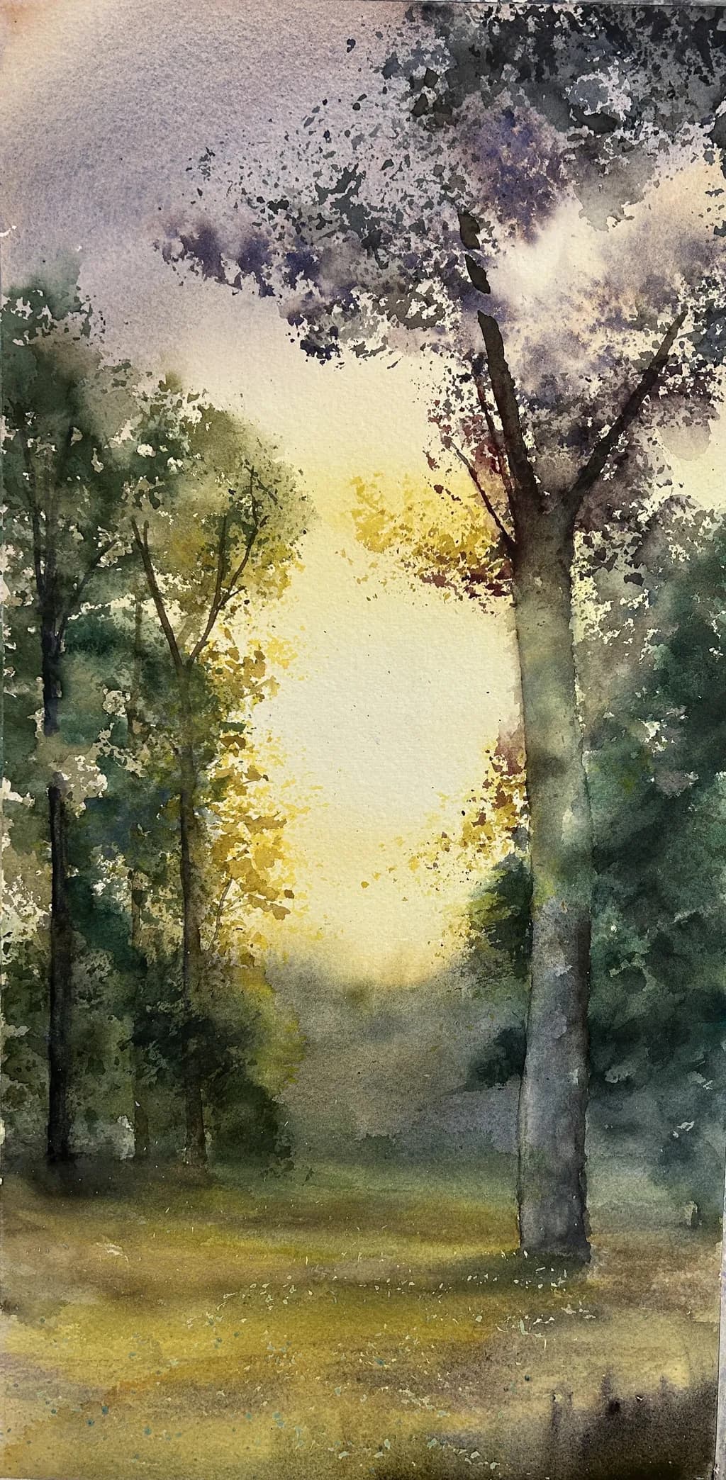 Sunlit Forest Path