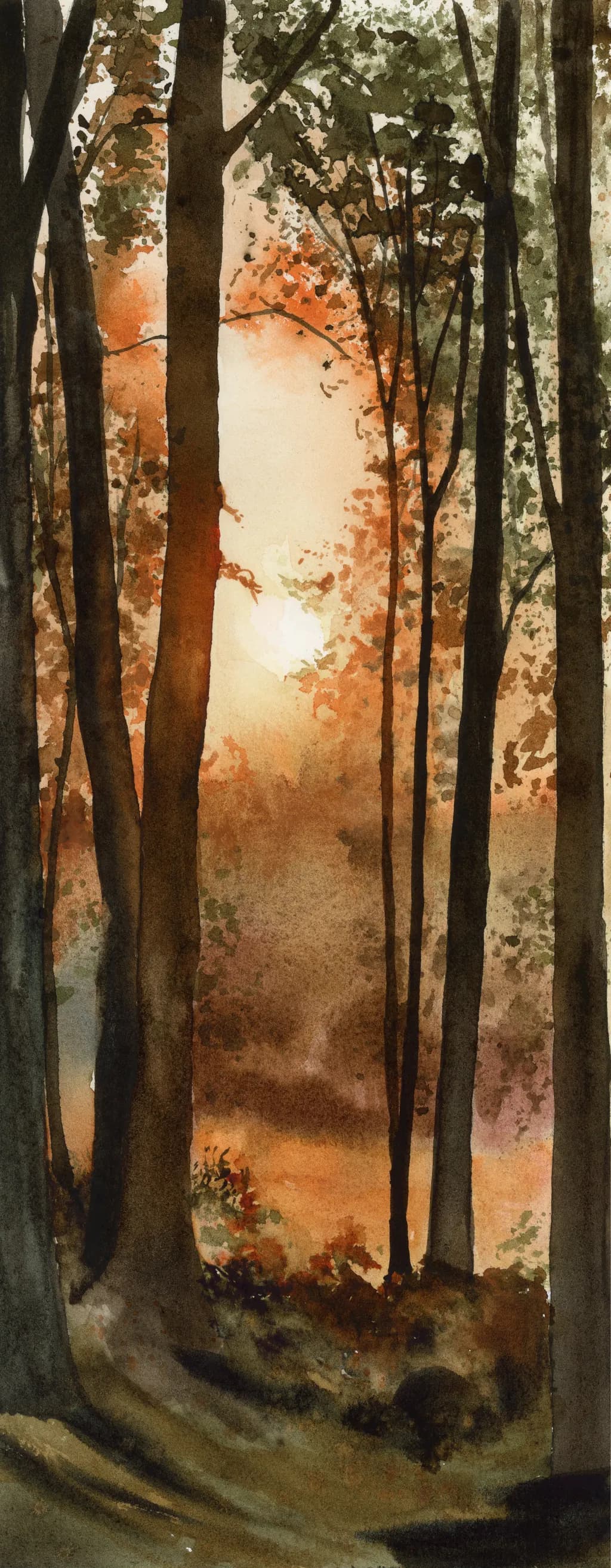 Autumn Woodland Light