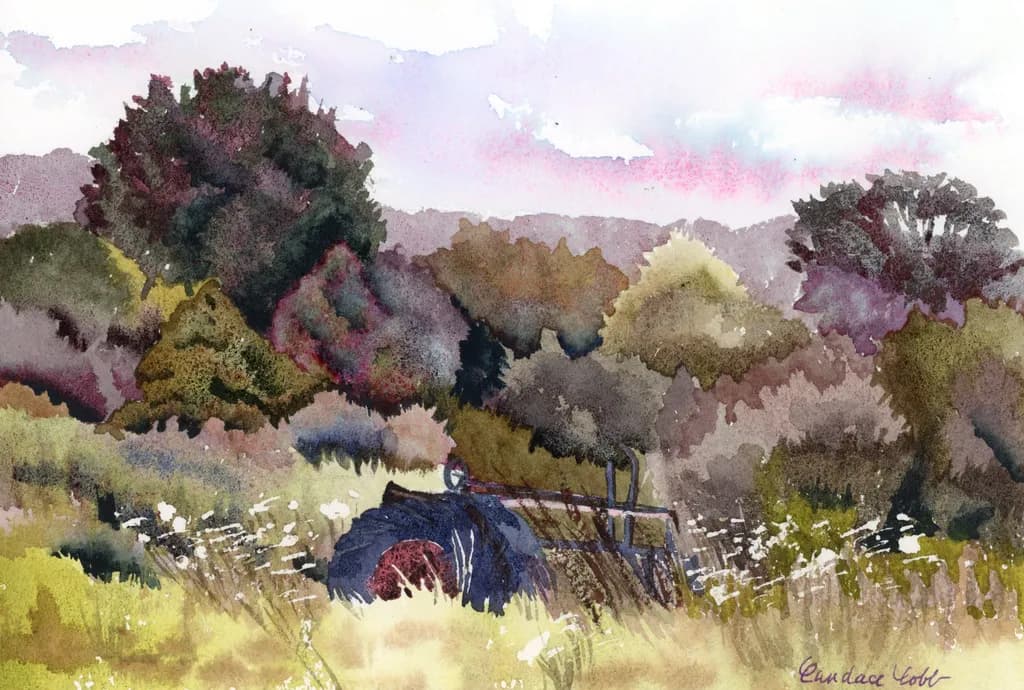 The Countryside