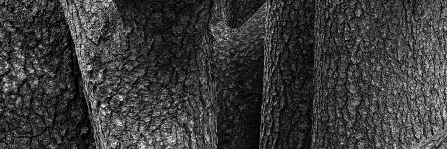 Profilbanner
