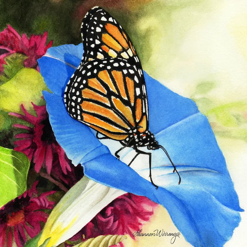 New Creation Butterfly