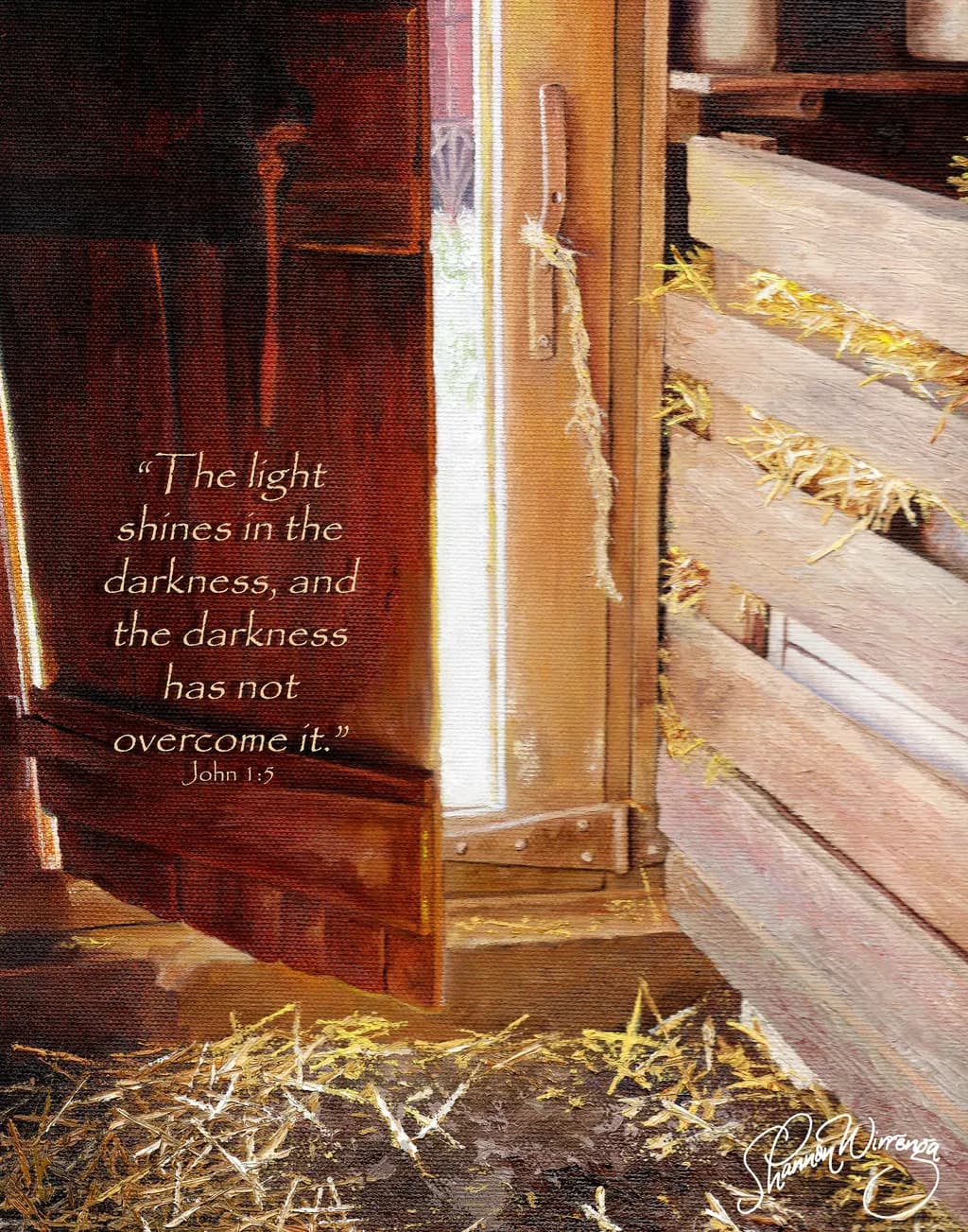 Seeing the Light