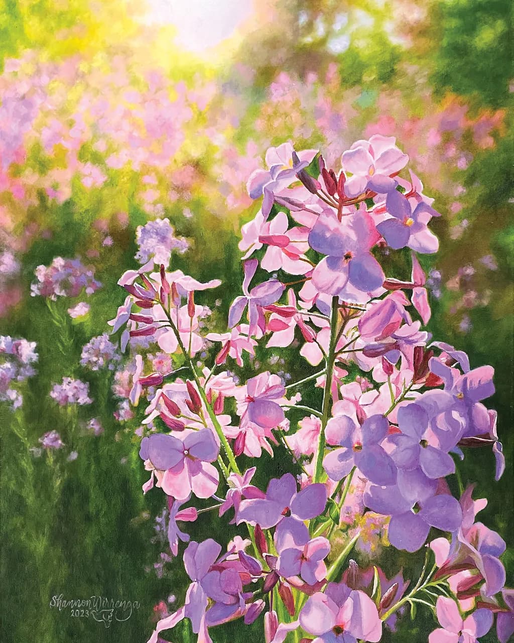 May Flower Beauties