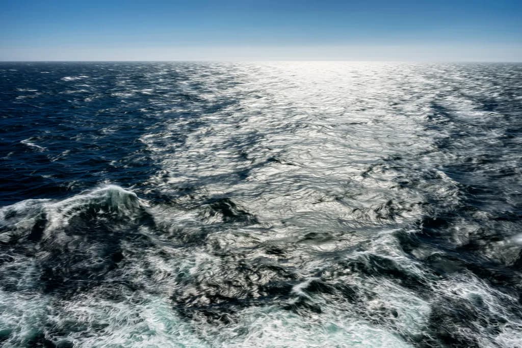 Sunlit Ocean View