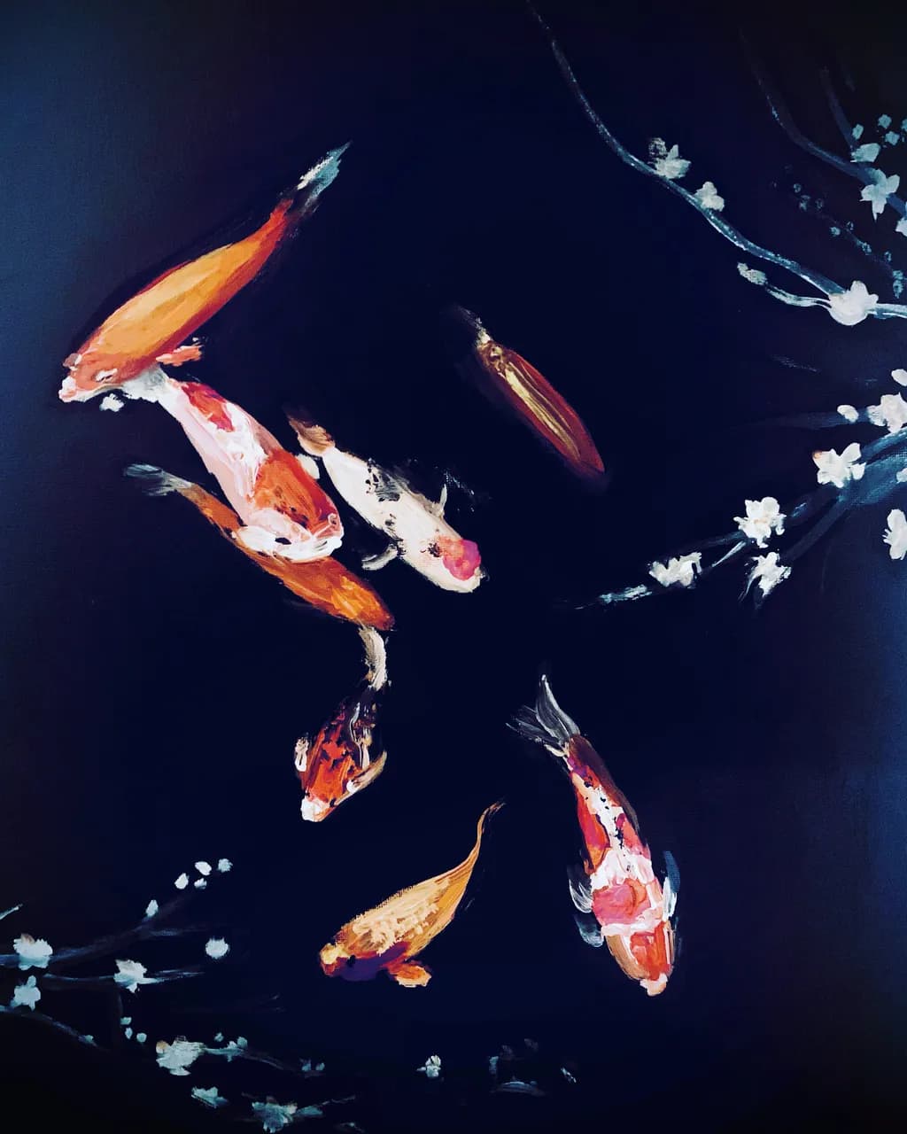 Gliding Koi
