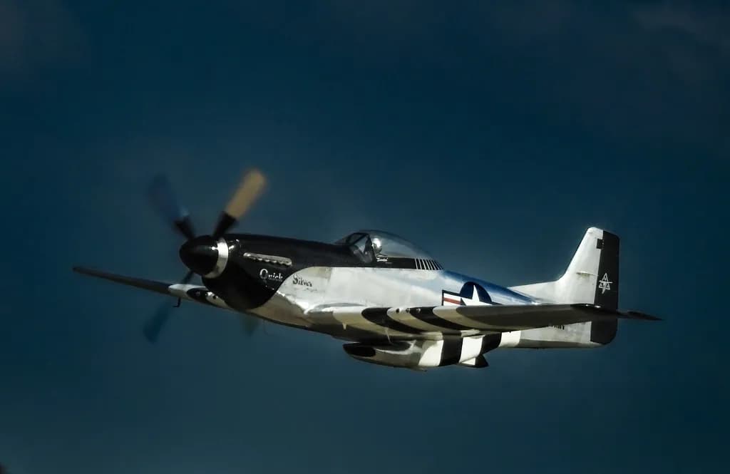 Quick Silver Flight