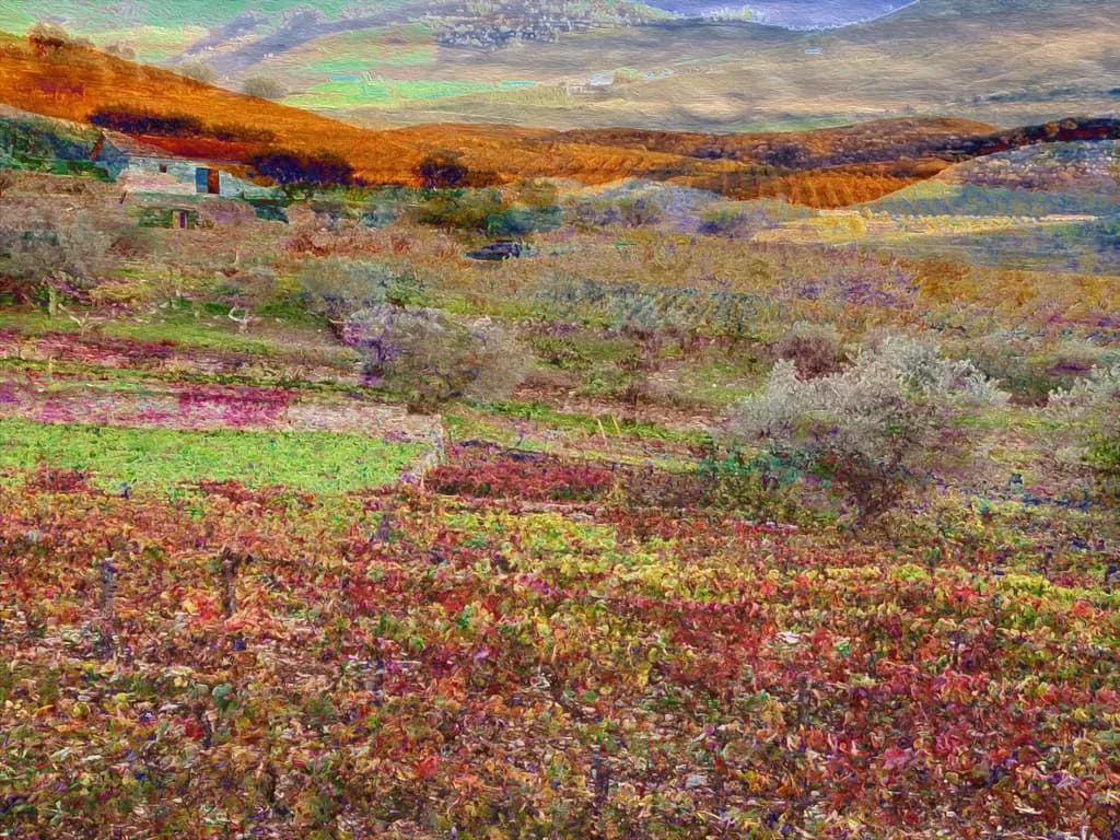 Hillside in Portugal