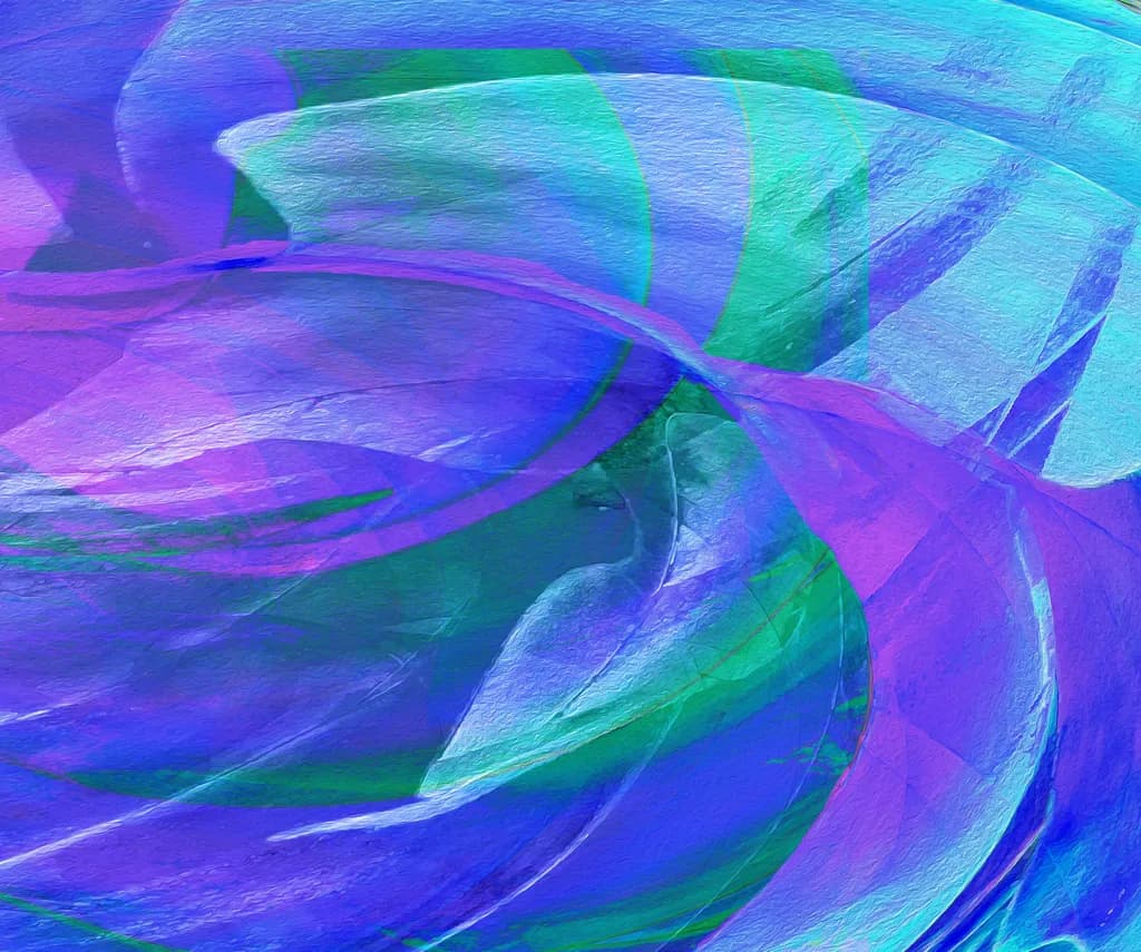 Aspidistra Abstract Flow