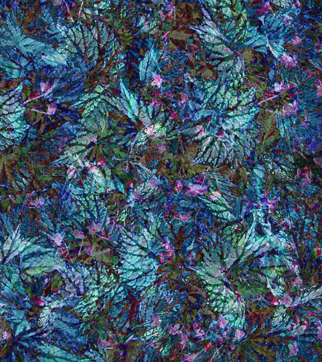 Begonia Leaves - blue purple