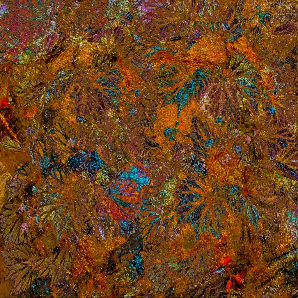 Begonia leaves - orange teal