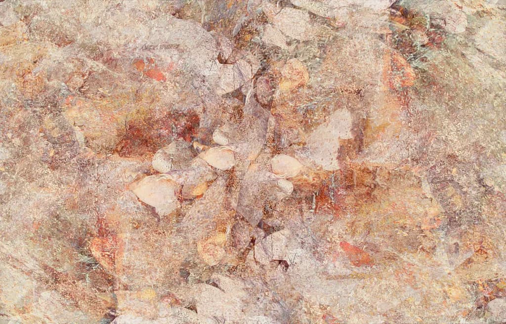 Sunwarmed Rocks